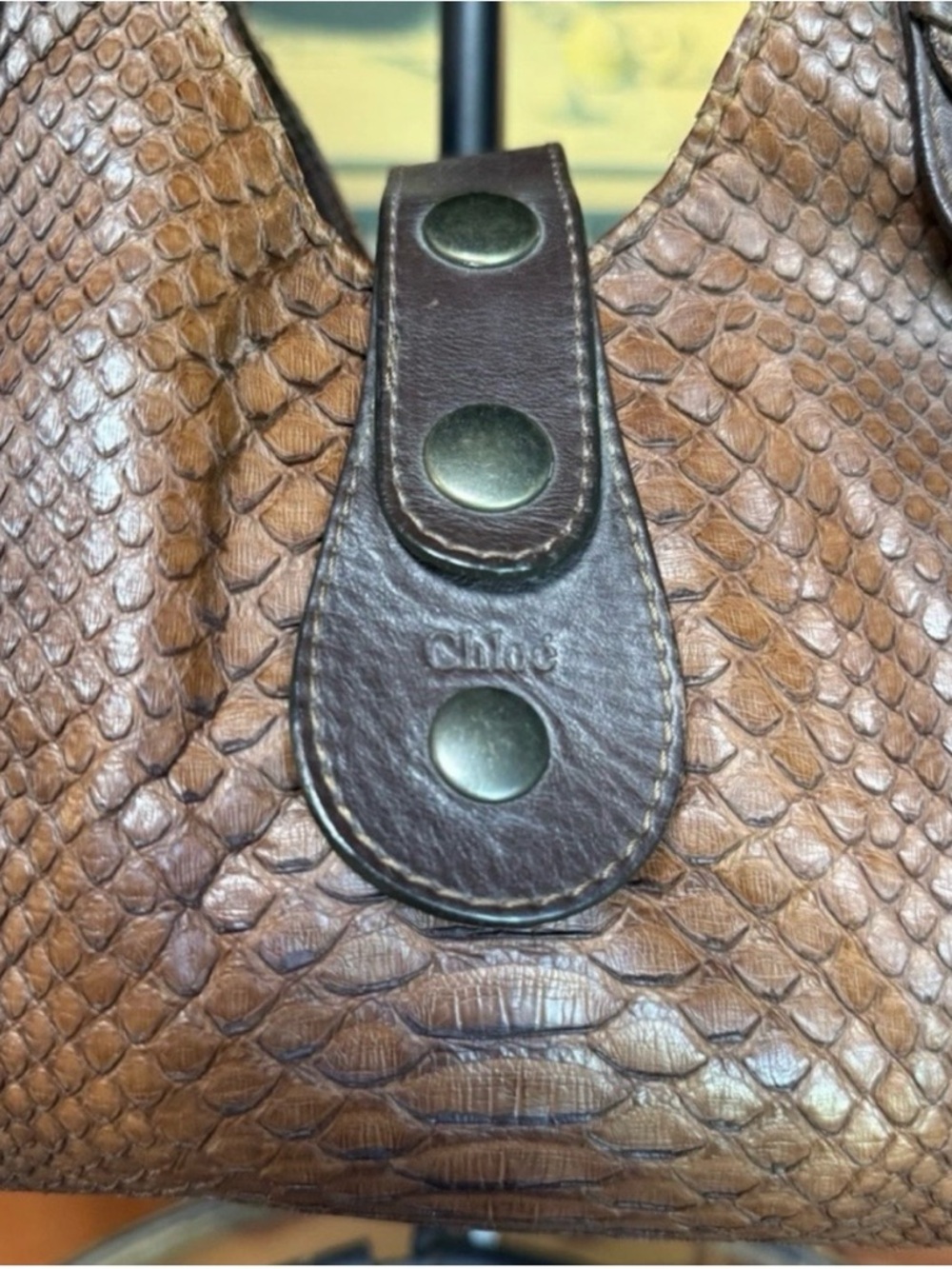 Chloe Python Handbag - Picture 2 of 10